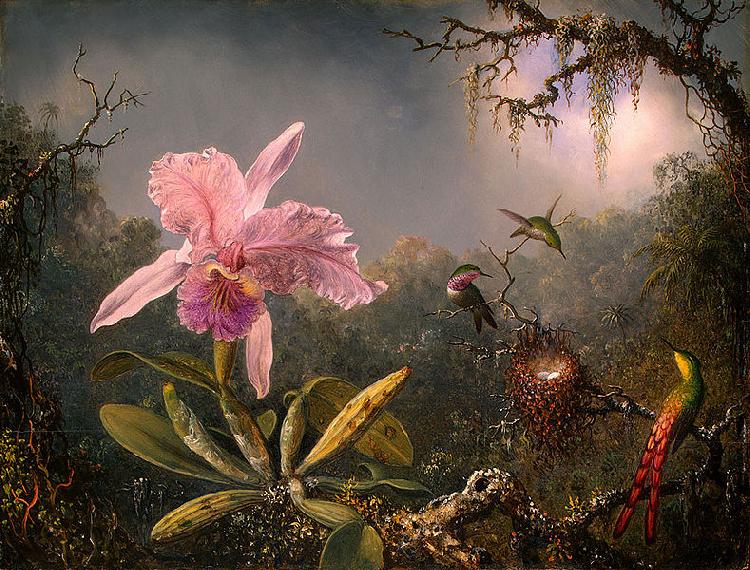 Martin Johnson Heade Cattleya Orchid and Three Brazilian Hummingbirds oil painting image